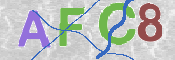 CAPTCHA 验证图片