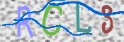 CAPTCHA 验证图片