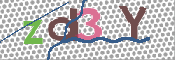 CAPTCHA 验证图片