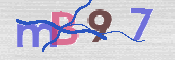 CAPTCHA 验证图片