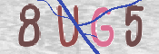 CAPTCHA 驗證圖片