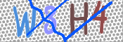 CAPTCHA 验证图片