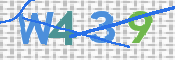 CAPTCHA 验证图片
