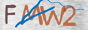 CAPTCHA 验证图片