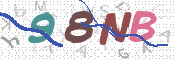 CAPTCHA 驗證圖片