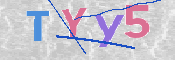 CAPTCHA 验证图片