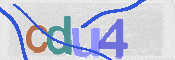 CAPTCHA 验证图片