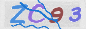 CAPTCHA 验证图片