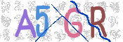 CAPTCHA 验证图片