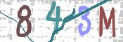 CAPTCHA 驗證圖片
