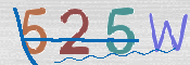 CAPTCHA 验证图片