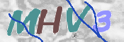 CAPTCHA 验证图片