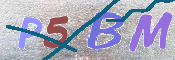 CAPTCHA 驗證圖片
