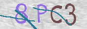 CAPTCHA 驗證圖片