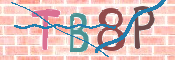 CAPTCHA 验证图片
