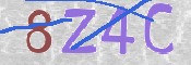 CAPTCHA 验证图片