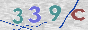 CAPTCHA 验证图片