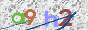 CAPTCHA 驗證圖片