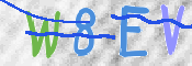 CAPTCHA 验证图片