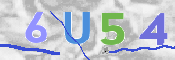 CAPTCHA 验证图片