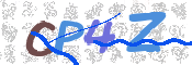 CAPTCHA 验证图片