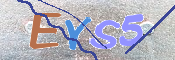 CAPTCHA 验证图片