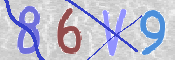 CAPTCHA 驗證圖片