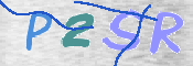 CAPTCHA 驗證圖片