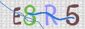 CAPTCHA 验证图片