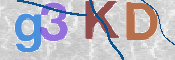CAPTCHA 验证图片