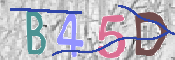 CAPTCHA 驗證圖片