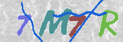 CAPTCHA 驗證圖片