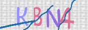 CAPTCHA 验证图片