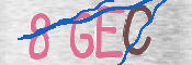 CAPTCHA 驗證圖片
