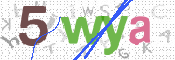 CAPTCHA 驗證圖片