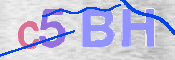 CAPTCHA 驗證圖片