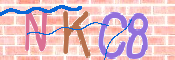 CAPTCHA 验证图片