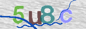 CAPTCHA 验证图片