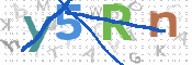 CAPTCHA 验证图片