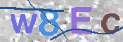 CAPTCHA 驗證圖片