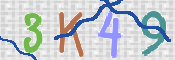 CAPTCHA 驗證圖片