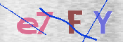 CAPTCHA 验证图片