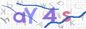 CAPTCHA 验证图片