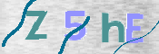 CAPTCHA 驗證圖片
