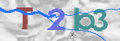 CAPTCHA 驗證圖片