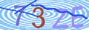 CAPTCHA 验证图片
