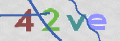 CAPTCHA 验证图片