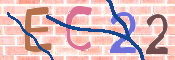 CAPTCHA 验证图片