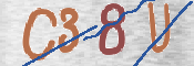 CAPTCHA 验证图片