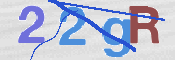 CAPTCHA 验证图片